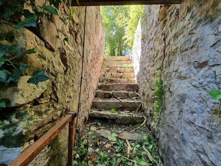 Elegance Provinoise Aux Pieds Des Remparts Classe โพรแว็ง ภายนอก รูปภาพ